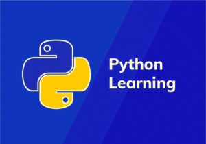 Students learning advanced Python programming concepts with hands-on coding sessions and real-world projects at The Core Systems Chandigarh.