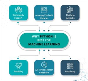 Ideal candidates for Python and Machine Learning Course in Chandigarh at The Core Systems, including students, beginners, and professionals interested in AI and data science.