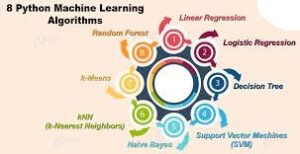 Expert mentorship from industry professionals during the Python and Machine Learning course at The Core Systems in Chandigarh, offering real-world insights and personalized guidance.