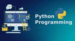 Python mentor guiding students