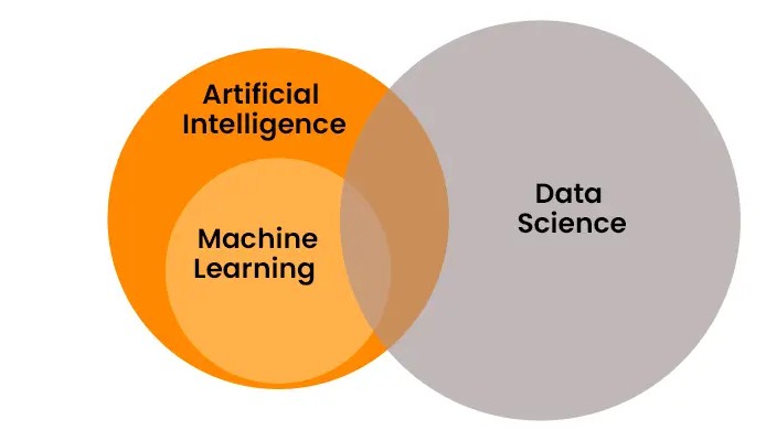 Online summer training for BCA students learning data science.