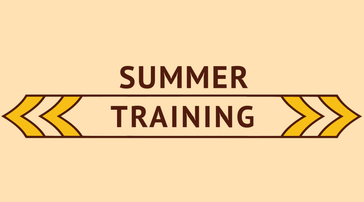 Certificate awarded after online summer training for BCA students.